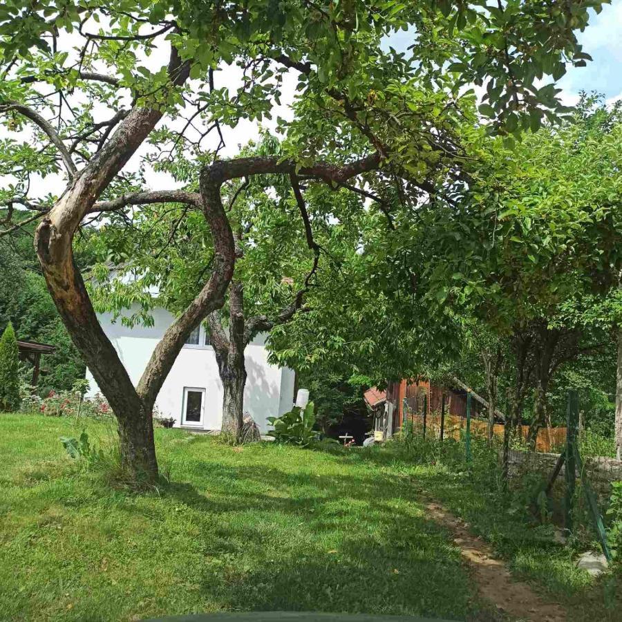 Guest House Bee Visoko Exteriér fotografie
